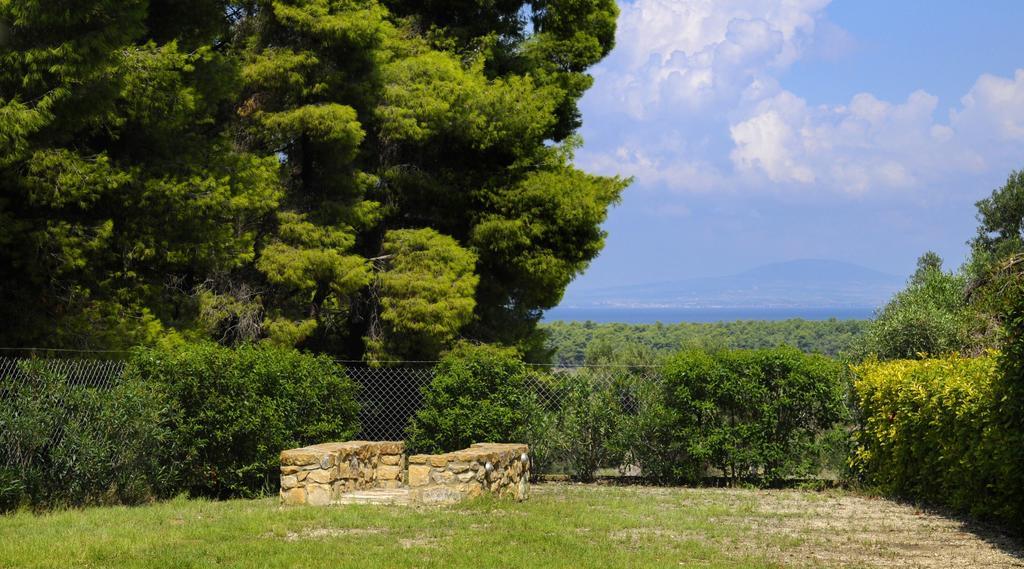 Olivos Villa Sani Sani  객실 사진